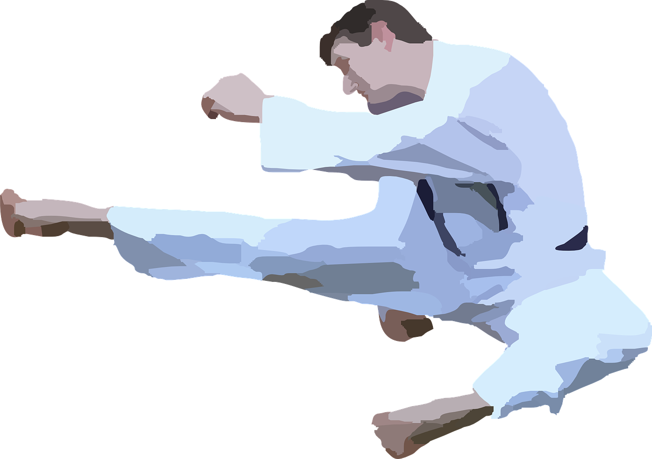 karate-42412_1280